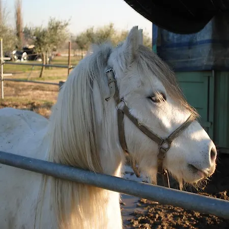 Agriturismo L'infinito
