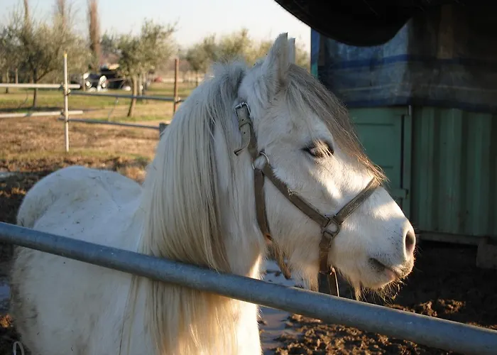 Agriturismo L'infinito