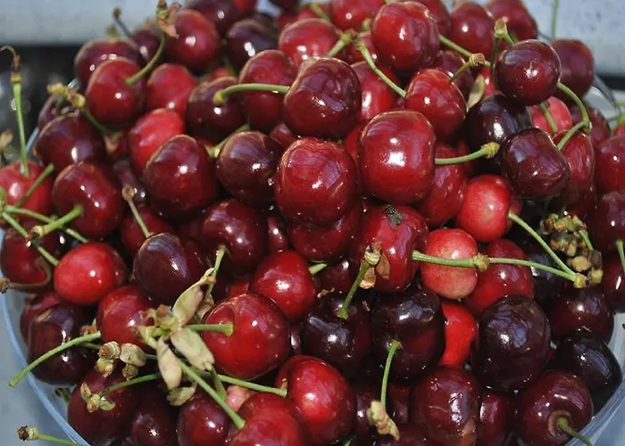 Séjour à la ferme Agriturismo L'infinito Gambettola